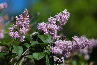 Similar image 5760256