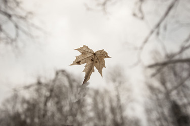 Similar image 5760305