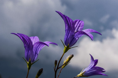 Similar image 5760309