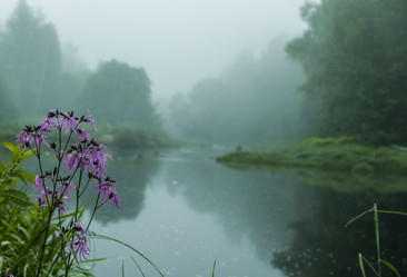 Similar image 5760311