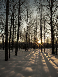 Similar image 5760312