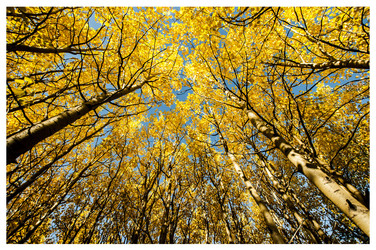 Similar image 5760315