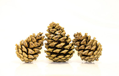 Similar image 5760357