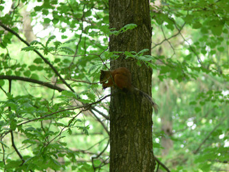 Similar image 5760363