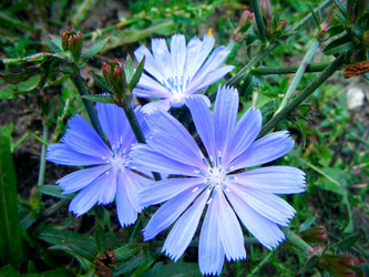 Similar image 5760365