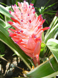 Similar image 5760366