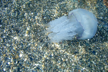 Similar image 5760373