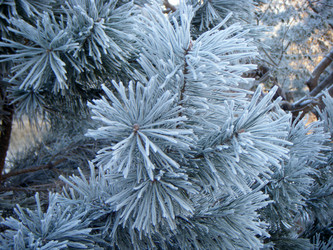 Similar image 5760374