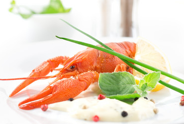 Similar image 5760400