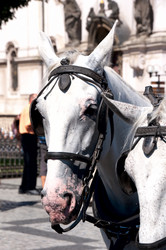 Similar image 5760428