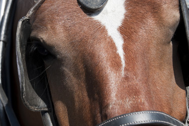 Similar image 5760430