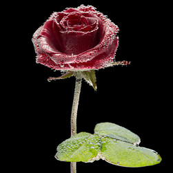 Similar image 5760818