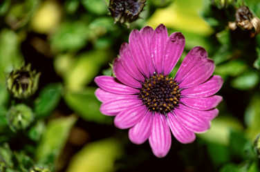 Similar image 5760903