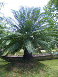 Similar image 5761062