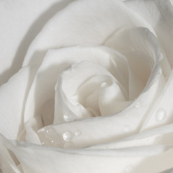 Similar image 5761328