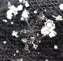 Similar image 5761344