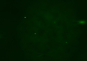 Similar image 5761734