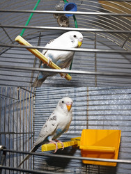 Similar image 5761785