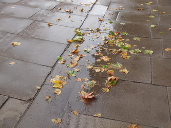 Similar image 5761883