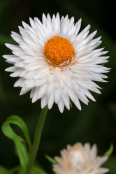 Similar image 5761985