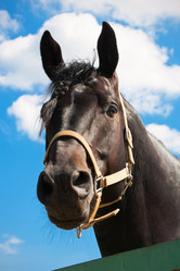 Similar image 5762174