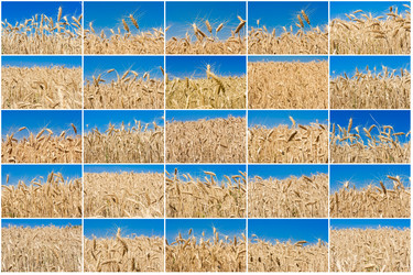 Similar image 5762181