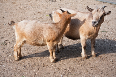 Similar image 5762234