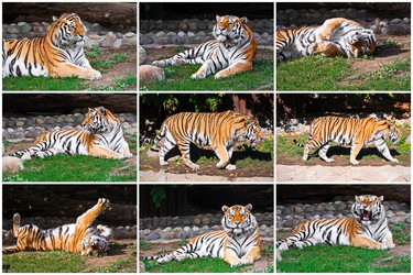 Similar image 5762272