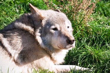 Similar image 5762284