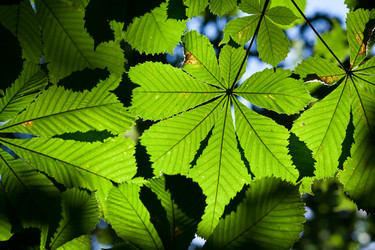 Similar image 5762286