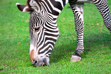 Similar image 5762317