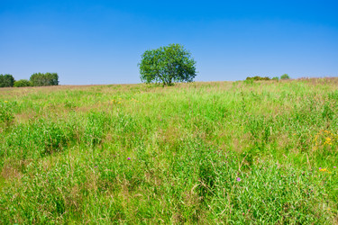 Similar image 5762319