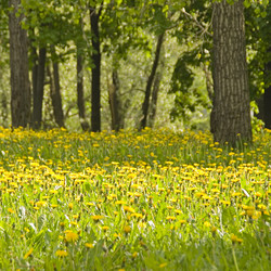 Similar image 5762402