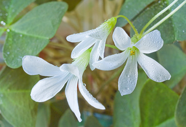 Similar image 5762403