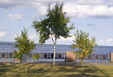 Similar image 5762404