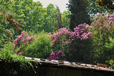 Similar image 5762424