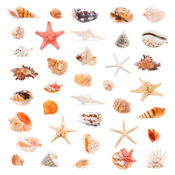 Similar image 5762529