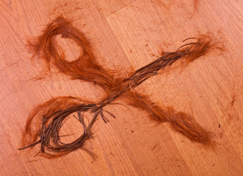 Similar image 5762588