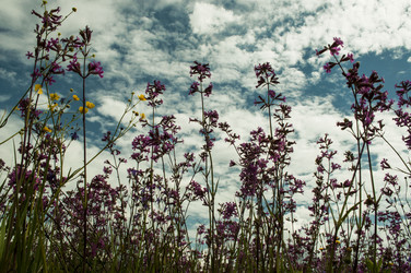 Similar image 5762813