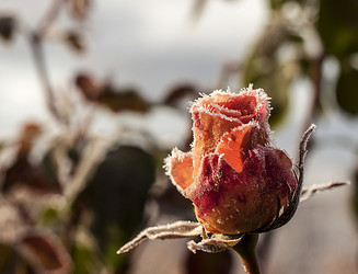 Similar image 5762815