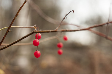 Similar image 5762816