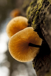 Similar image 5762817