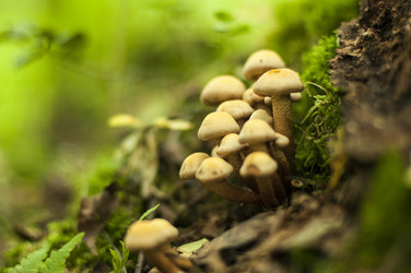 Similar image 5762823