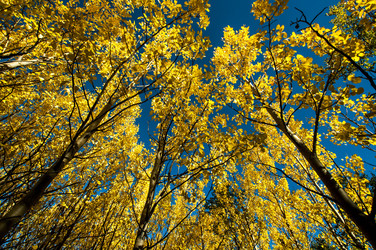 Similar image 5762827