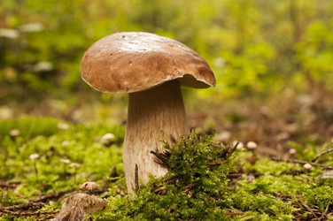 Similar image 5762828