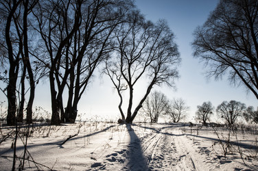 Similar image 5762831