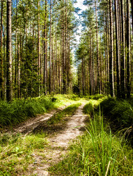 Similar image 5762834