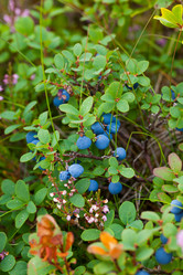 Similar image 5762873