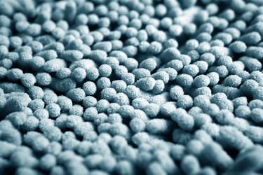 Similar image 5762892