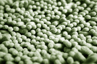 Similar image 5762922